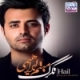 میثم ابراهیمی/تگرگ