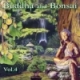 Various Artists/Buddha and Bonsai Vol.4