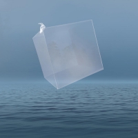 گروه دال/کلاغ سفید