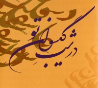 پرواز همای/در شب گیسوان تو