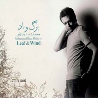 محمدرضا هدایتی/برگ و باد