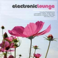 Various Artists/Electronic Lounge