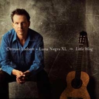 Ottmar Liebert/Little Wing