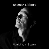 Ottmar Liebert/Waiting n Swan