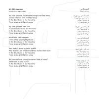 ماکان اشگواری، امیر صارمی/دور