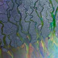Alt-J/An Awesome Wave