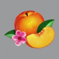 Phoenix/Bankrupt