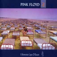 Pink Floyd/A Momentary Lapse Of Reason