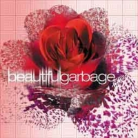 Garbage/Beautiful Garbage