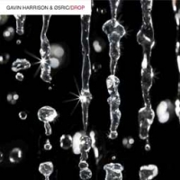 Gavin Harrison & 05Ric/Drop