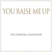 Various Artists/You Raise Me Up - The Essential Collection 2010
