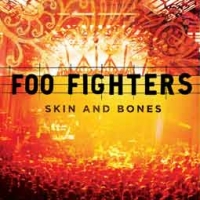 Foo Fighters/Skin and Bones - Live