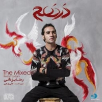 رضا یزدانی/درهم